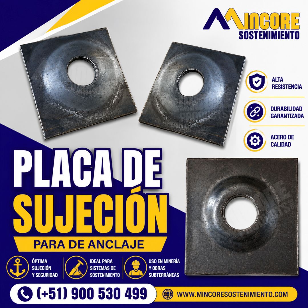 Placa de Sujeción